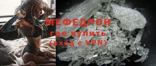 трава Няндома