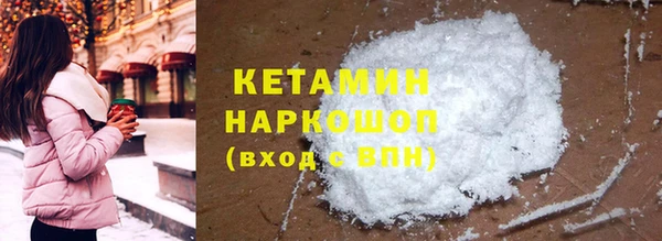 трава Няндома