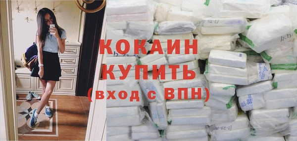 трава Няндома