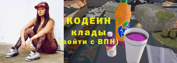 трава Няндома